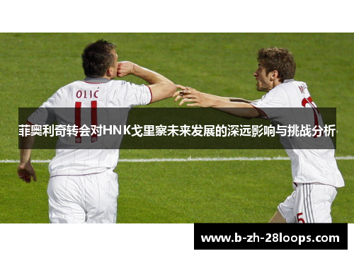 菲奥利奇转会对HNK戈里察未来发展的深远影响与挑战分析