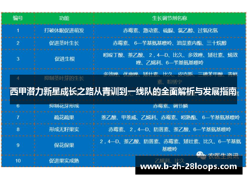 西甲潜力新星成长之路从青训到一线队的全面解析与发展指南