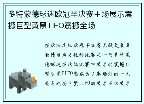 多特蒙德球迷欧冠半决赛主场展示震撼巨型黄黑TIFO震撼全场
